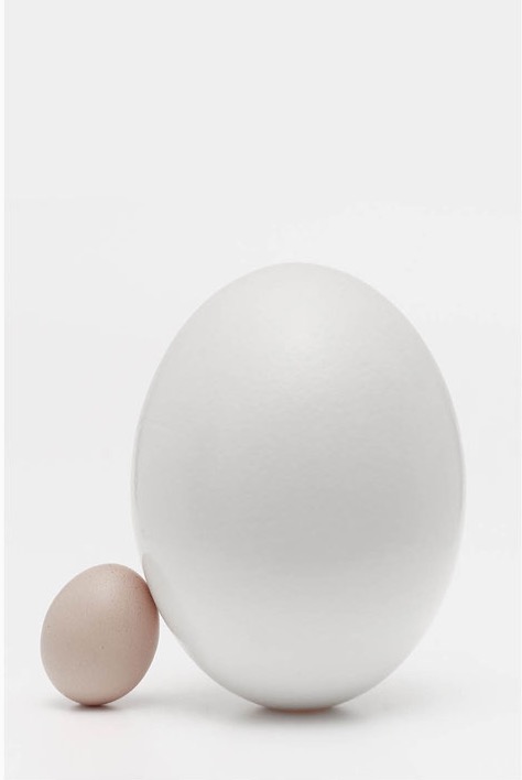 A large egg next to a small egg